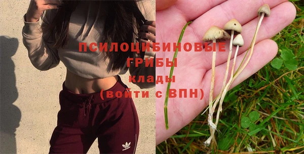 мет Медвежьегорск