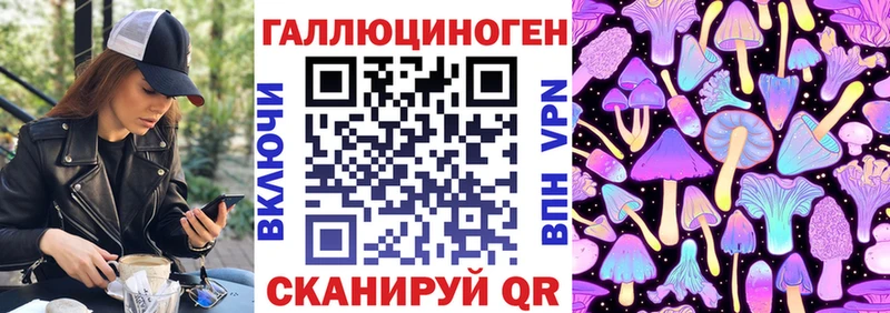 Купить где Красноярск Псилоцибиновые грибы GOLDEN TEACHER