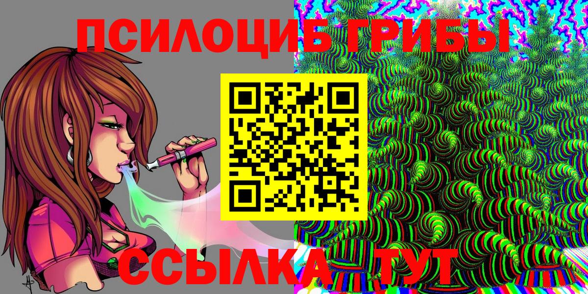 Псилоцибиновые грибы Psilocybine cubensis Красноярск