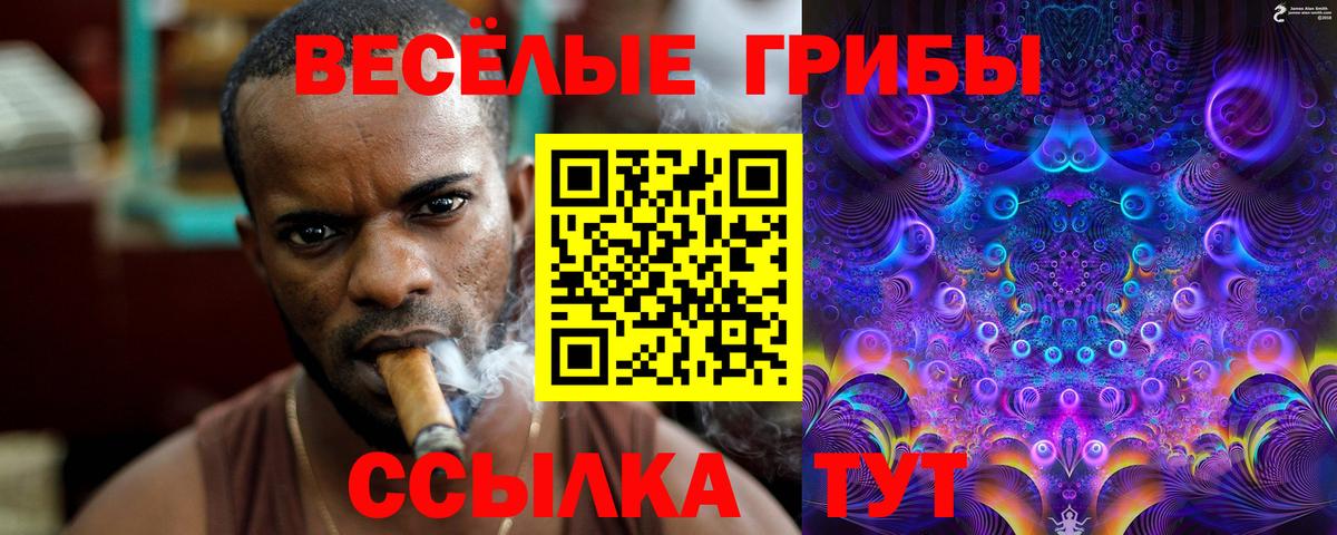 Красноярск  купить   Псилоцибиновые грибы мицелий  Вход с VPN  Псилоцибиновые грибы GOLDEN TEACHER 