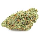 Шишки OG Kush  (Гидропоника, бошки) VHQ в Красноярске
